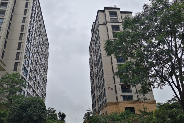 珠海春晓悦居最新价格，家的温馨与邻里情谊的邂逅