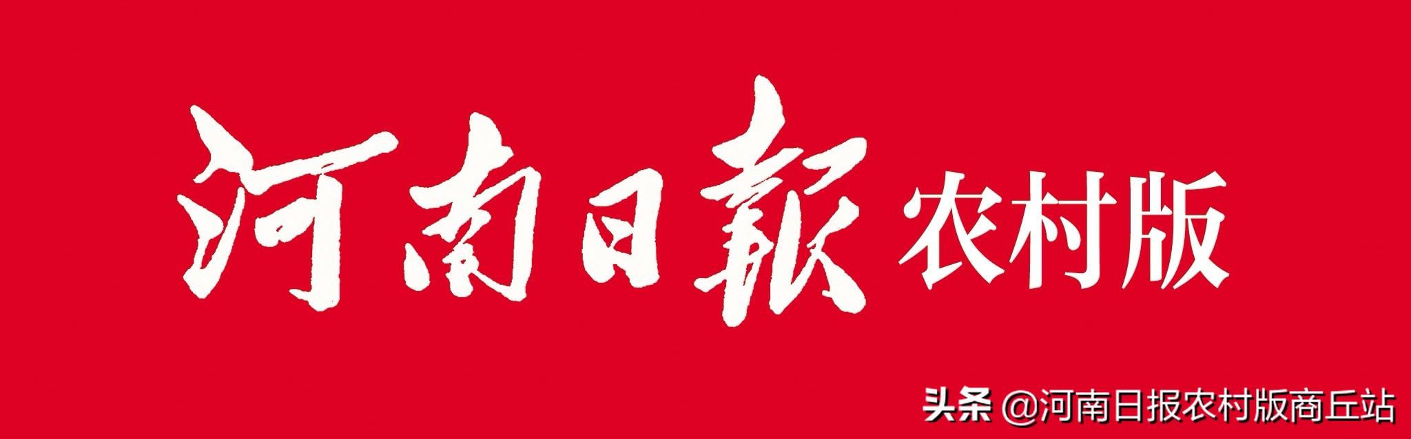关于起点读书最新VIP破解版的探讨与解析