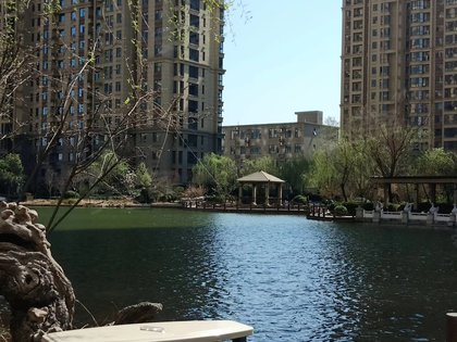 泰丰观湖最新房价，科技与生活的完美融合体验