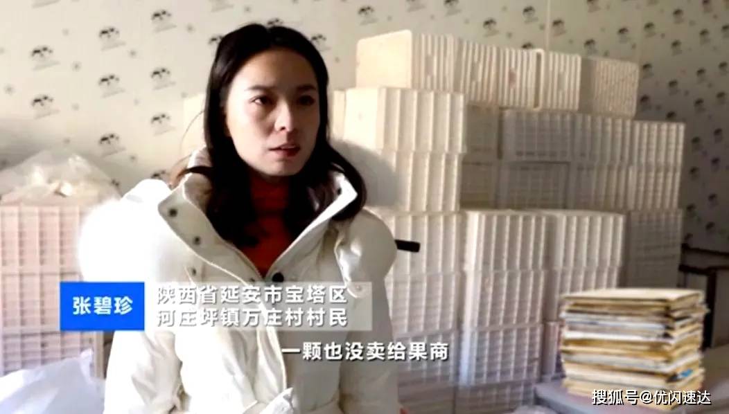 沈湛林欣欣最新章节，小巷中的隐秘美味探秘