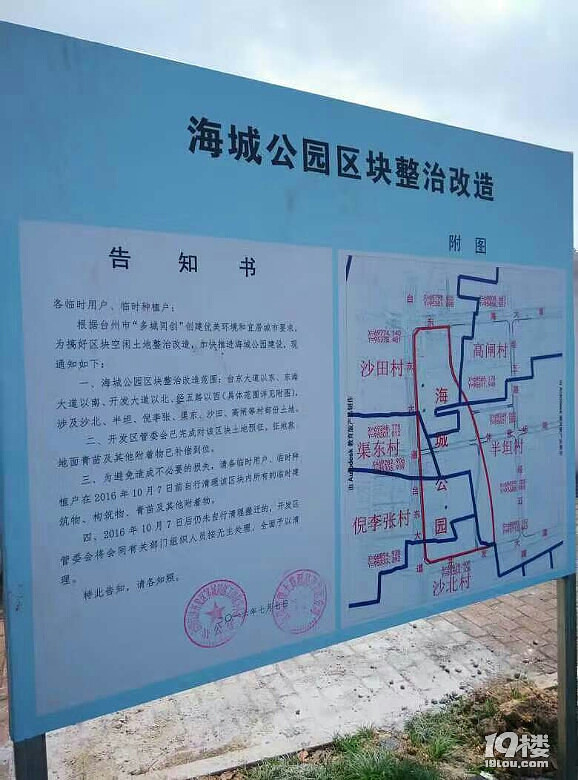 台州海城公园最新动态，更新消息与花海盛况一览