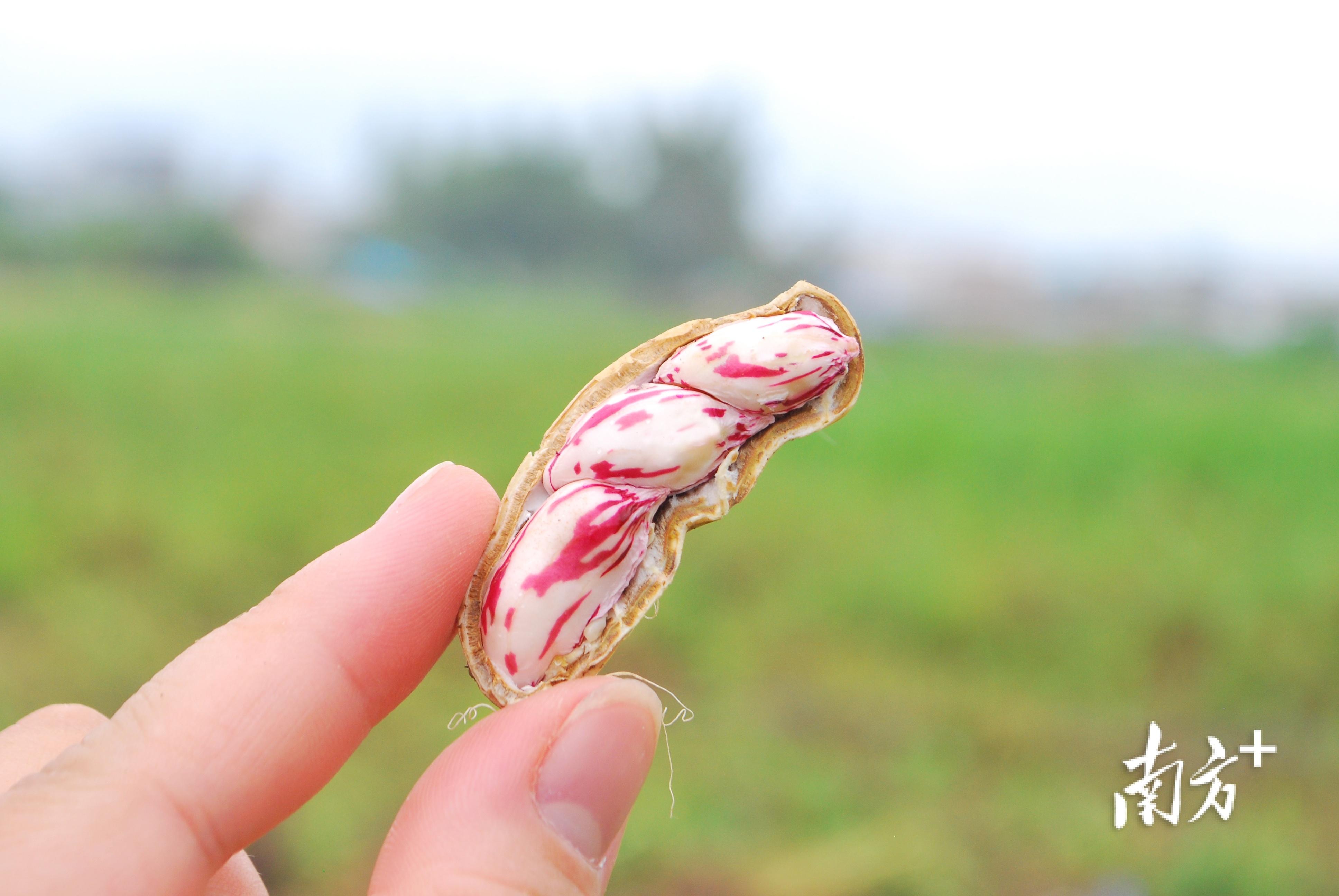 兴宁水岸一品最新动态揭秘，小巷特色小店惊喜连连！