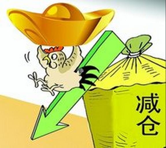 德盛小盘基金净值最新动态，奇妙旅程展现家的纽带与温馨表现