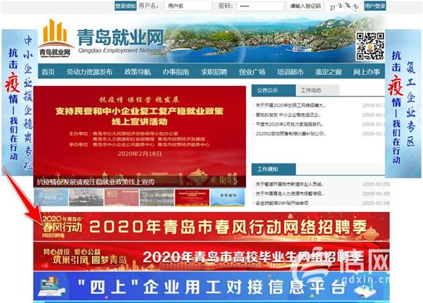 青岛海硕最新招聘信息详解，获取步骤指南（适用于初学者与进阶用户）