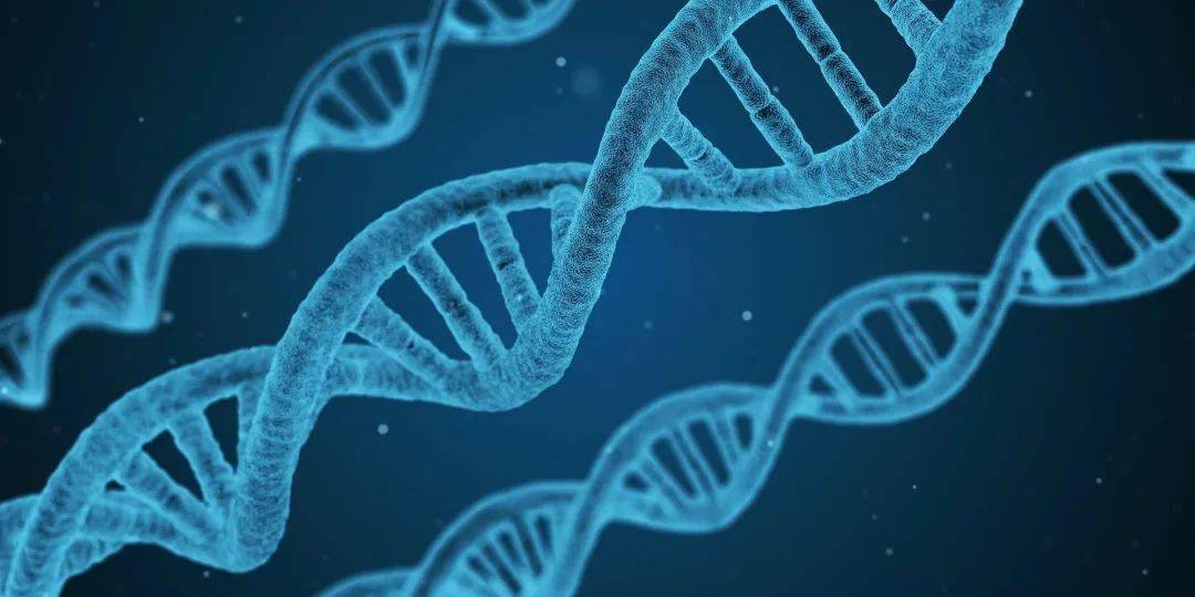 梅杰症最新治疗方法及步骤指南（2022年）