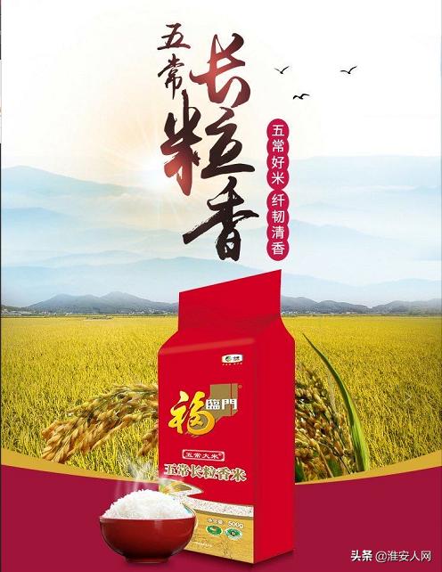 淮安金鹰最新招聘信息公布