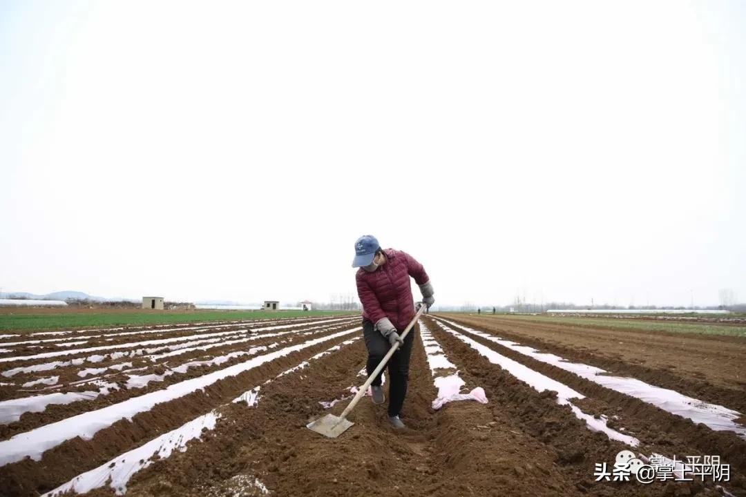 辽阳龙石风景 第223页