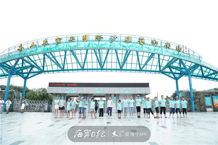 湖北盐改最新动态与盐的奥秘之旅