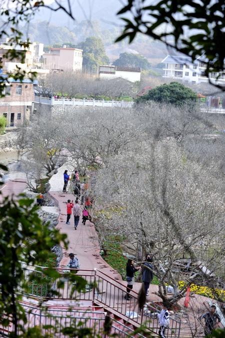 北京黄标车新规发布，迈向绿色出行的重要步骤