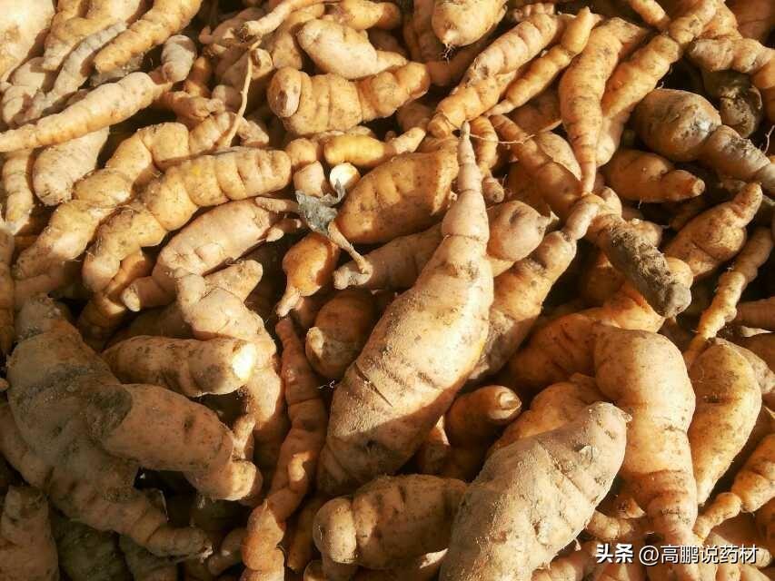 黄芩最新价格行情及分析