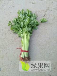 文化馆 第207页