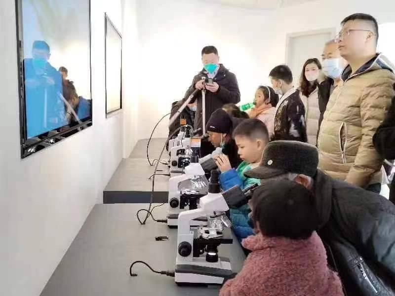 探秘李健婚姻状况，一场关于演员李健婚姻生活的温馨之旅
