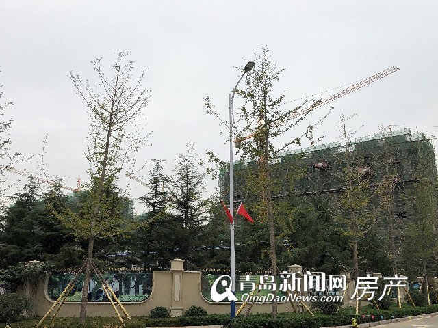 鑫江玫瑰园最新动态揭秘，最新进展与资讯汇总