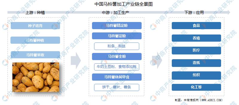 深度解析收藏市场行情，历史背景、重大事件与地位的探究
