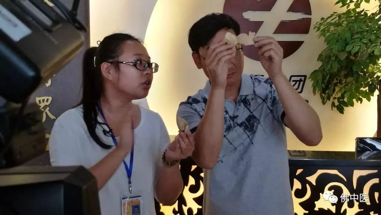 小强升级之旅，最新版本的快乐时光与友情魔法
