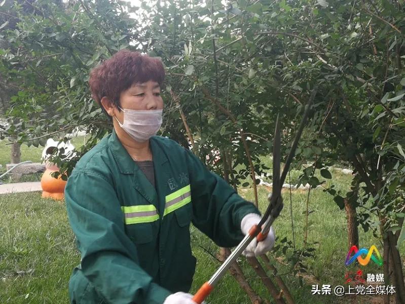 散打方便最新比赛揭秘，小巷深处的隐藏高手对决！