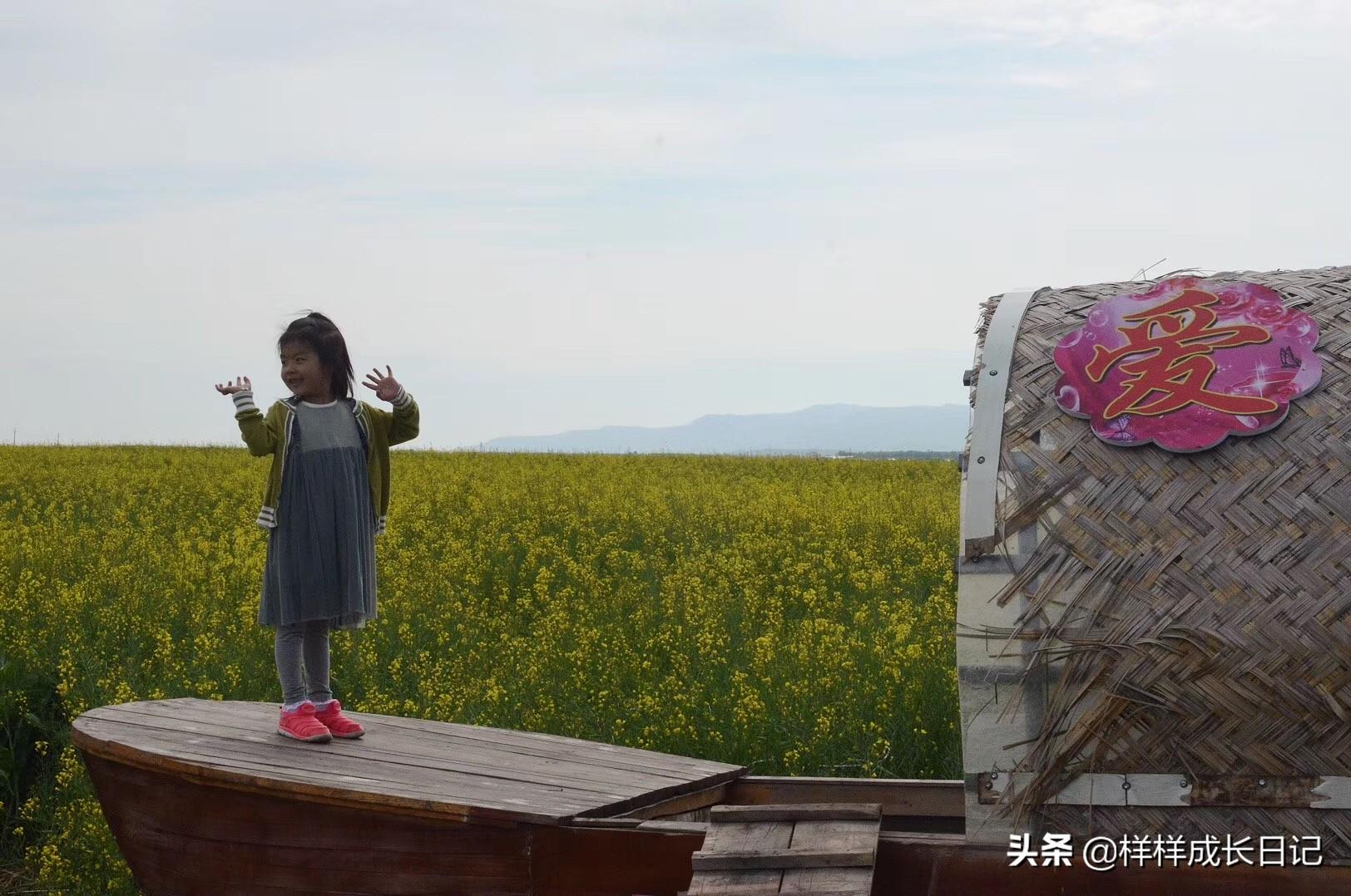 汗血宝马电视剧，价值与影响的深度解析