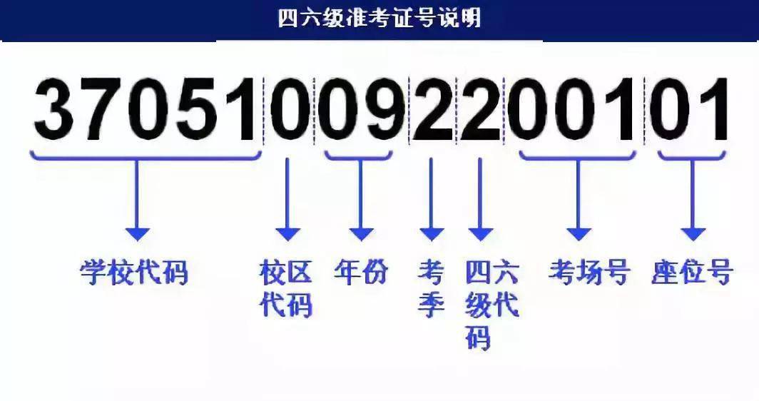 新奥最精准免费提供,快速问题解答_云端版57.293