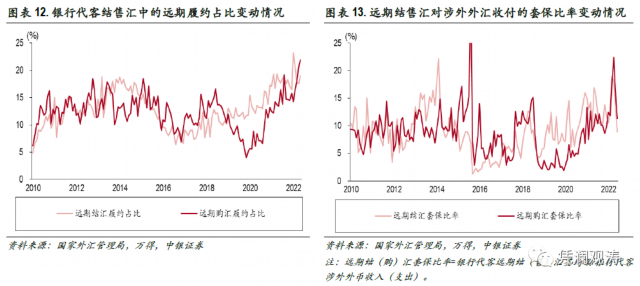 西红花价格揭秘，市场波动与多重因素考量分析
