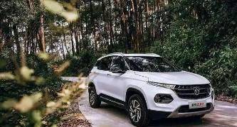 揭秘上市公司条件，跟随自然美景探索旅行之路！