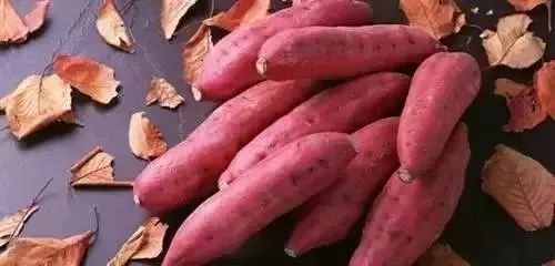 红薯价格最新行情，科技与生活的融合影响分析