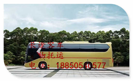 汽车最新动态与家的温馨旅程资讯速递