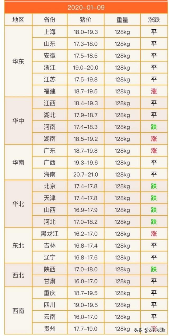 猪肉价格最新动态，日常故事中的最新消息与影响