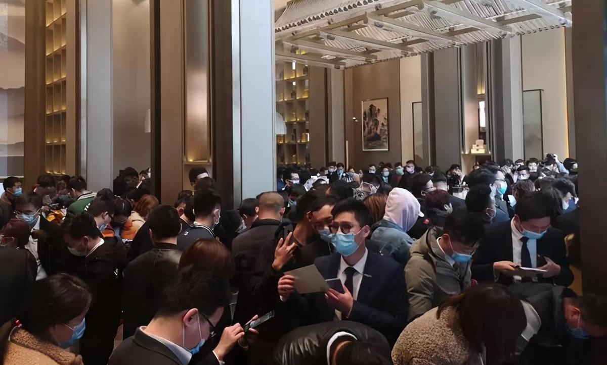 房东最新解读，当下房地产市场的变革与趋势