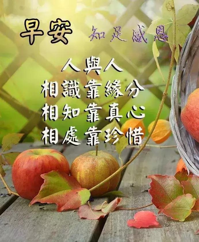 文化馆 第152页