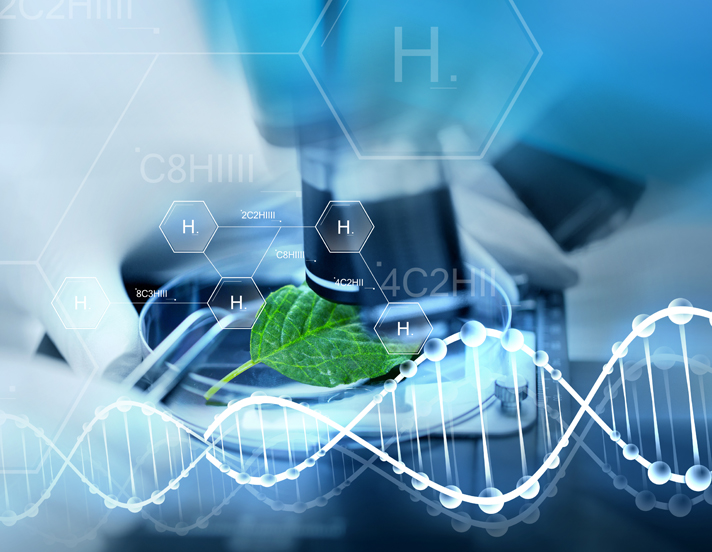 最新氢，能源新贵的探讨与观点阐述