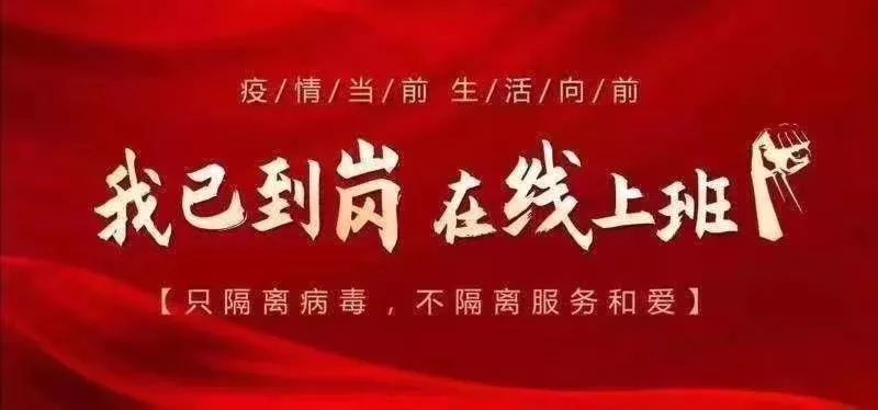 最新落户政策探索，巷弄风味的独特魅力之旅