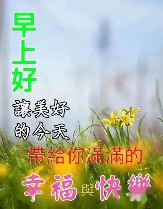 最新祝福语,最新祝福语，温馨日常中的美好瞬间