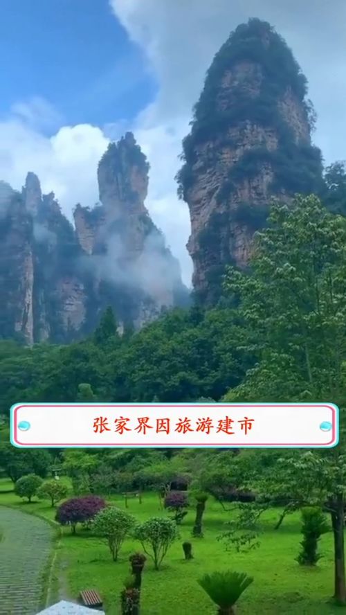 青少年宫 第143页