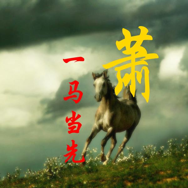 姓氏最新排名，家的温馨故事背后的排名探索