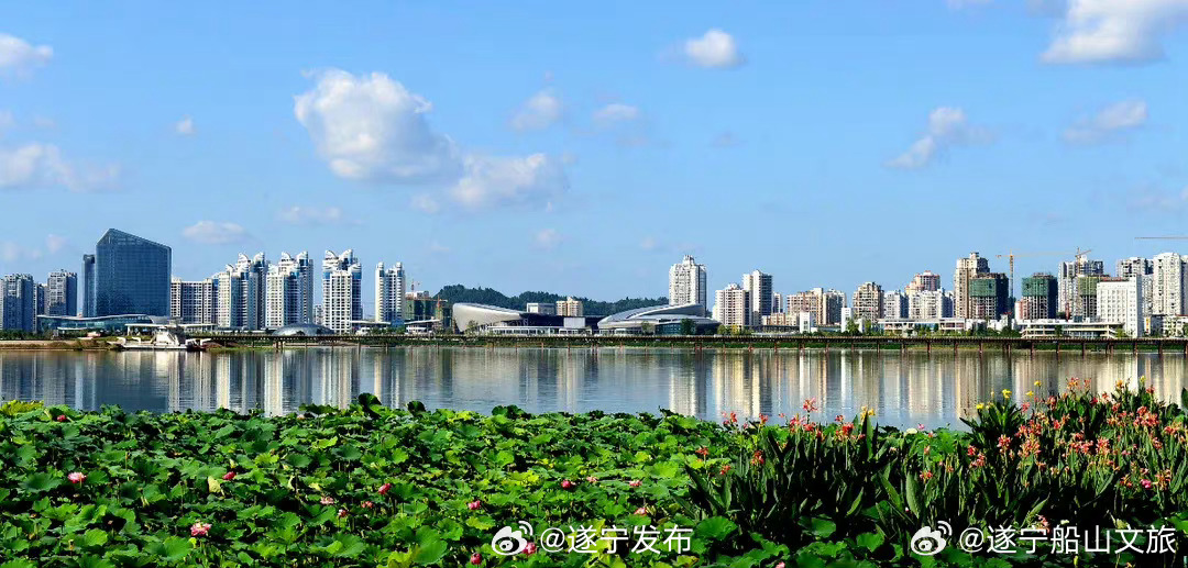 遂宁城市发展最新动态，观点探析