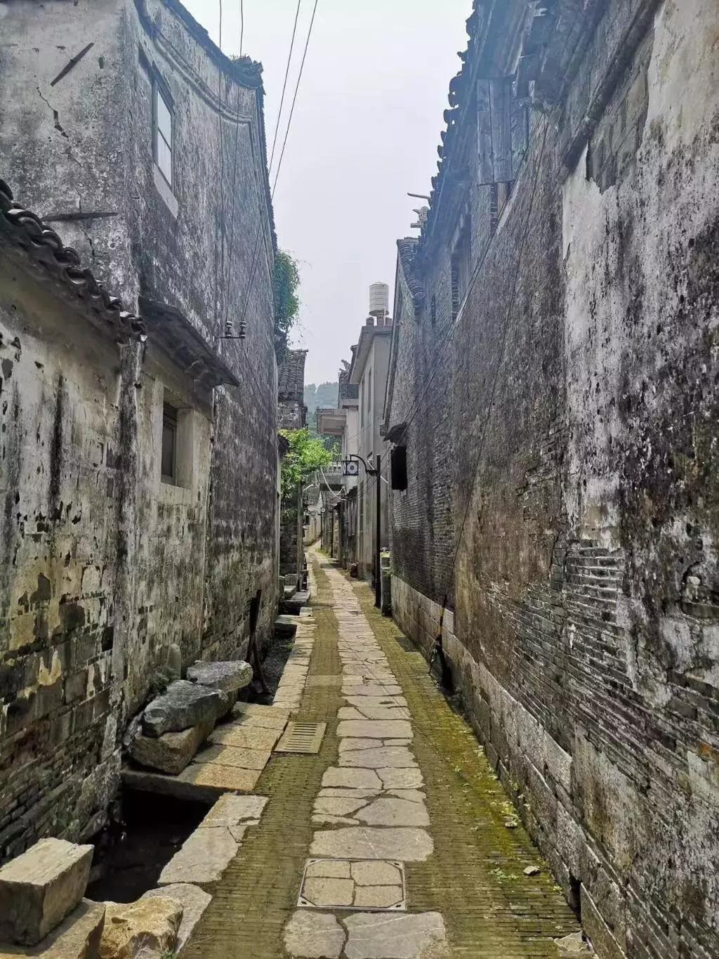 网络歌曲最新风潮，小巷深处的音乐宝藏探寻