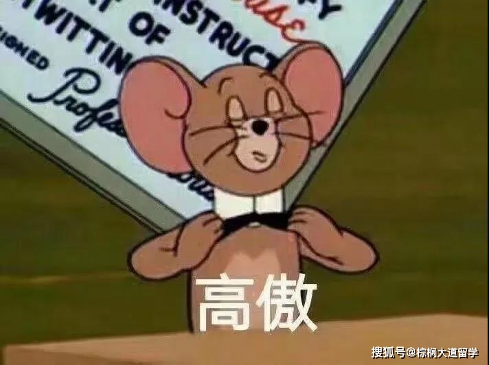 最新猫和老鼠，学习变化的力量与自信幽默之旅的冒险故事