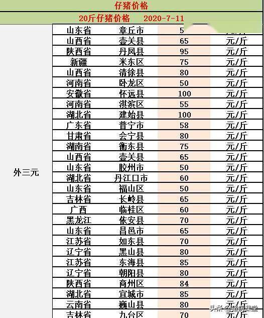 仔猪最新价格及市场走势分析与预测报告