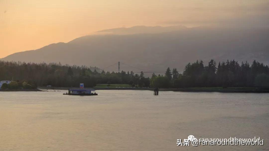 最新物种，人类视角下的正反观点分析及其影响探讨