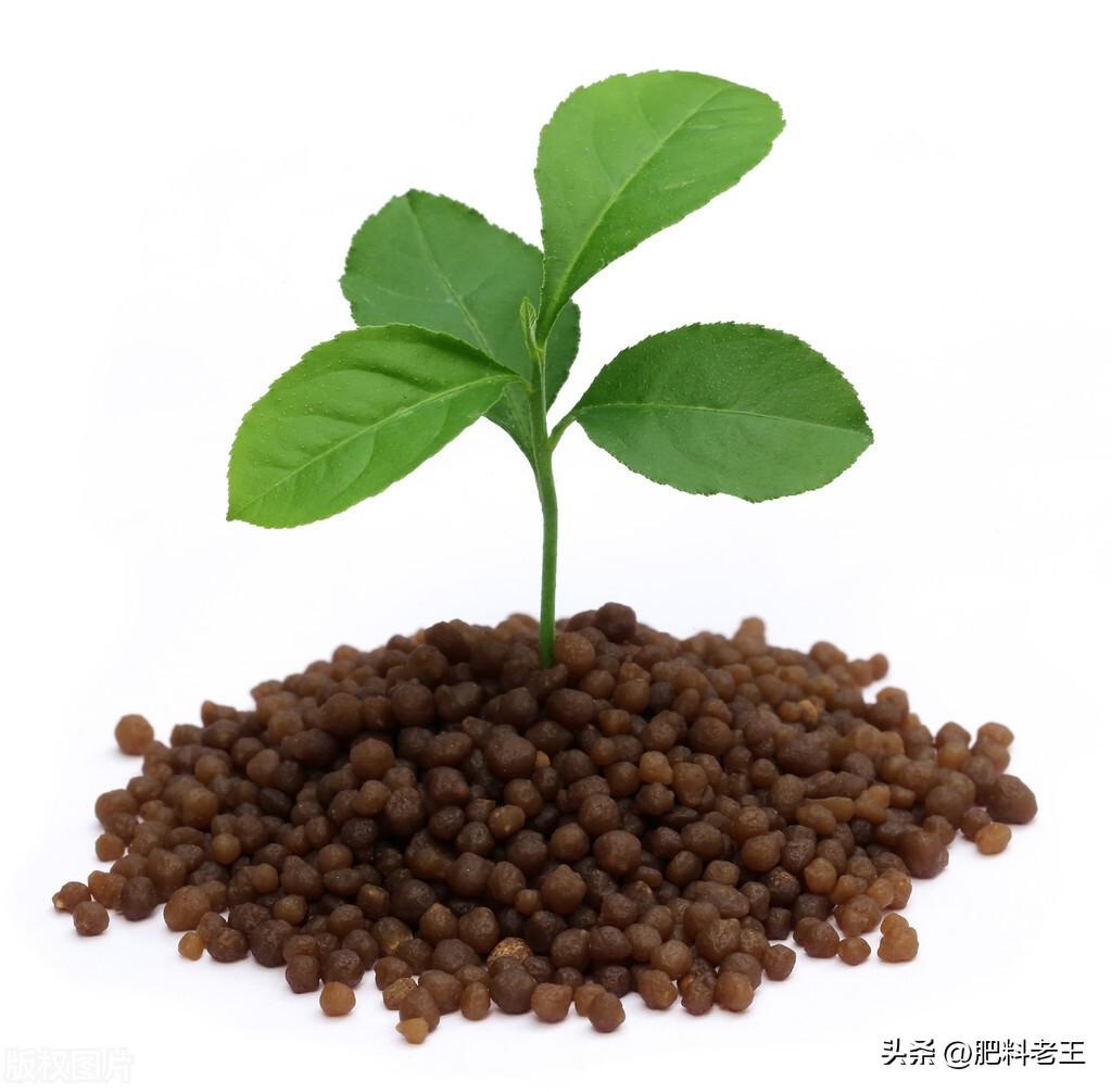 二铵价格行情最新查询指南，二铵价格行情最新价格解析