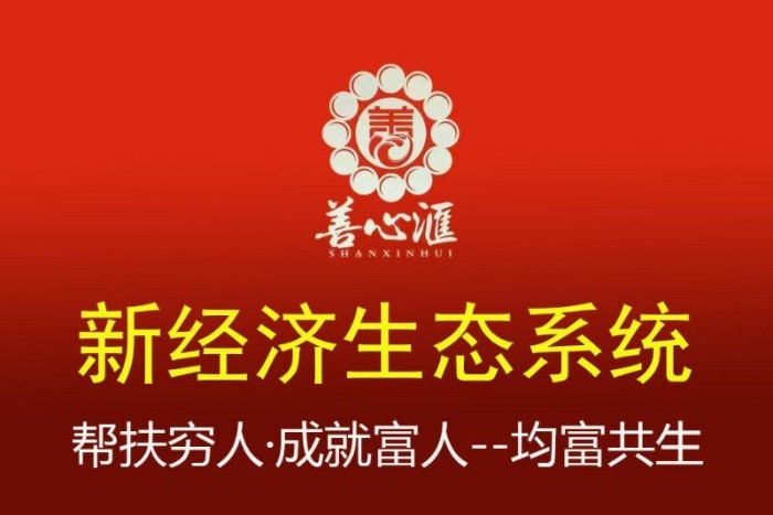 善心汇最新动态，探讨其影响及未来展望