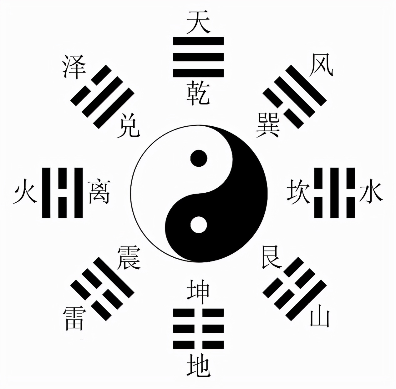 网红最新八卦揭秘，多元视角窥探现象背后的故事