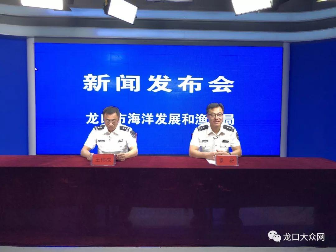 龙口新闻最新动态更新，龙口新闻速递