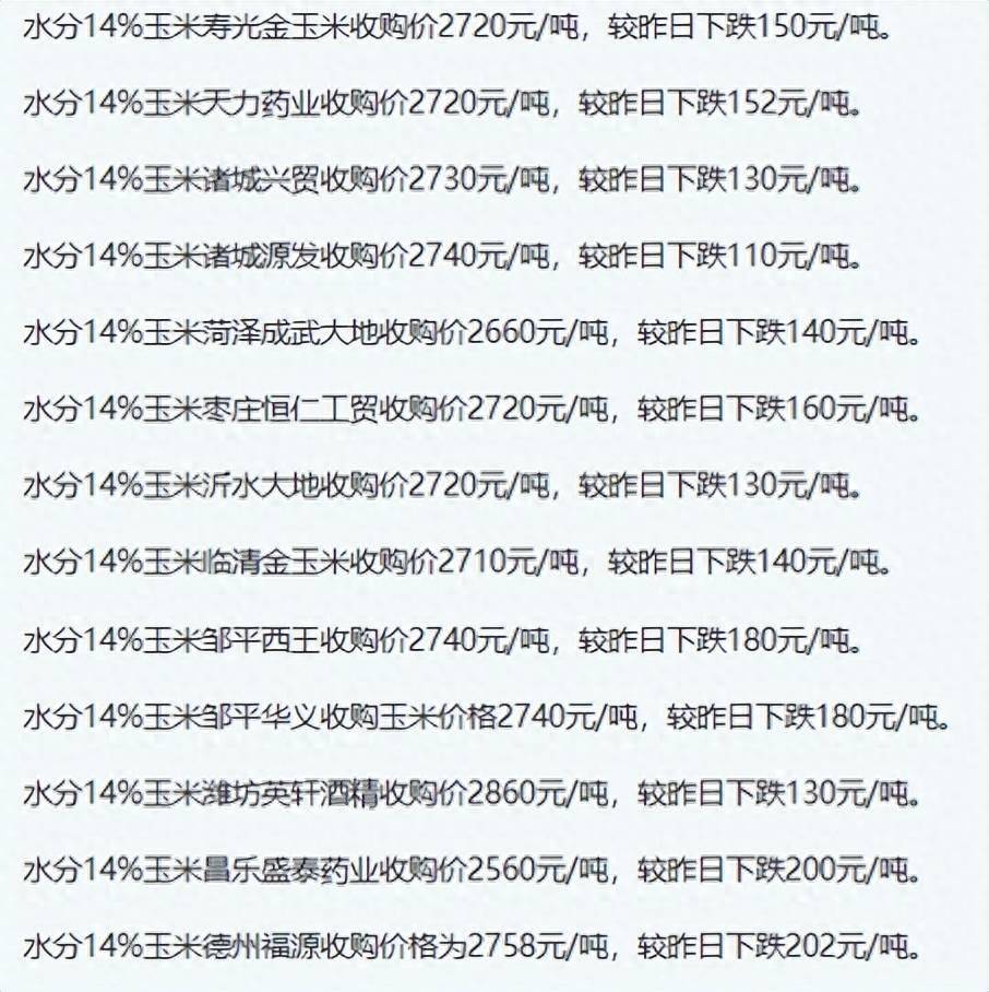 山东最新玉米价格揭秘，温情背后的玉米情缘故事