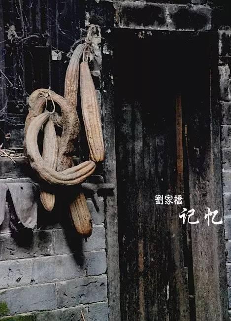 青少年宫 第107页