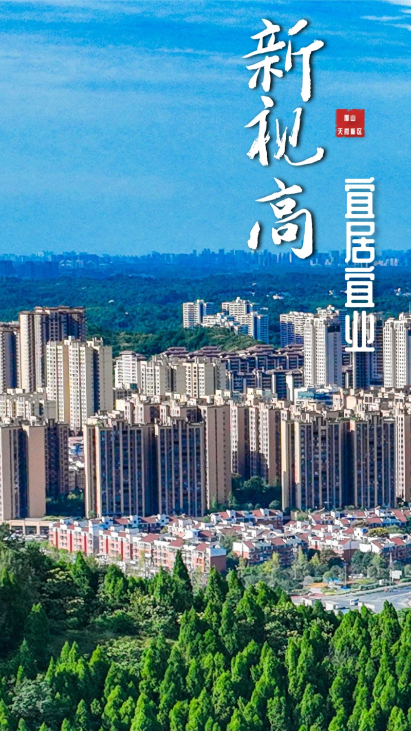 视高最新重磅消息更新！