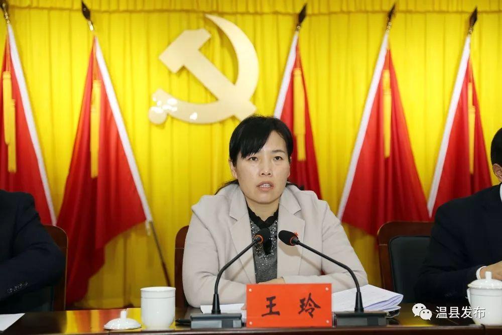 最新经济形势分析与应对策略，经济任务技能进阶指南