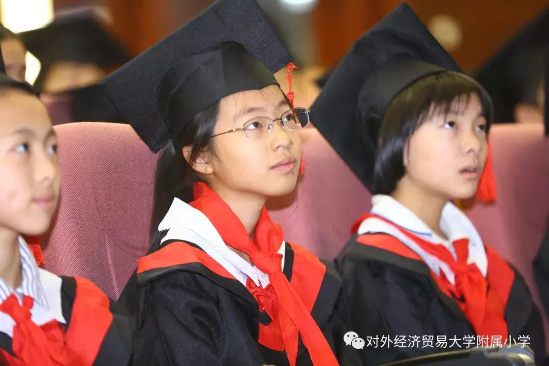 中国大学最新排行榜，梦想起航，学习成就未来之路