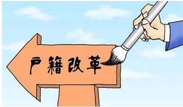深户最新政策解读与观点阐述，全面梳理与深度分析