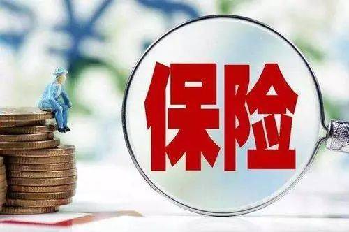 保险新闻最新动态，友情与陪伴的温暖故事